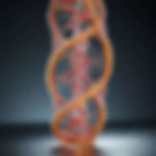 Illustration of nucleic acid structure