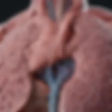 Emerging Treatment Paradigms for Lung SCC Visual representation of emerging treatment paradigms for lung SCC