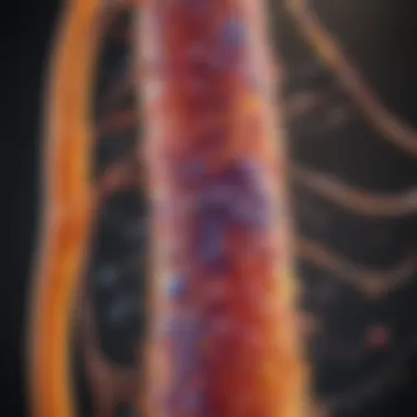 Illustration of cellular respiration pathways showcasing ATP production