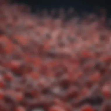 Gut Bacteria and Immune Response Connection Visualization of immune response linked to gut bacteria