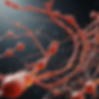 Graph showing the effects of metformin on cellular aging markers