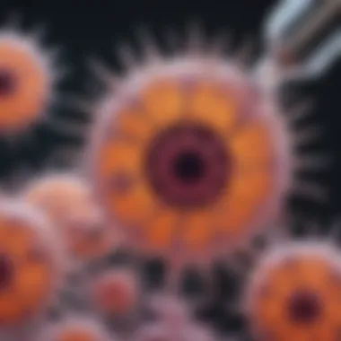 A close-up view of adult stem cells under a microscope
