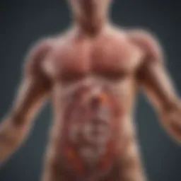 Visualization of Bacteroidetes in the gut microbiome