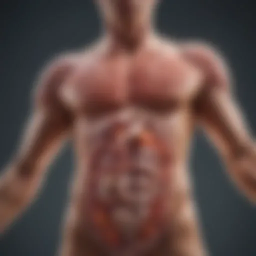 Visualization of Bacteroidetes in the gut microbiome