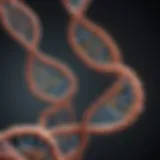 Illustration of DNA strands interacting with proteins