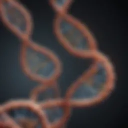 Illustration of DNA strands interacting with proteins