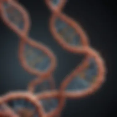 DNA-Protein Interaction Dynamics Illustration of DNA strands interacting with proteins