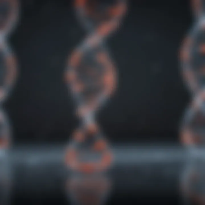 Diagram showcasing various methodologies of DNA-protein assays