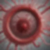 A visual representation of the blood clotting process in relation to haemophilia.