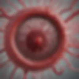 A visual representation of the blood clotting process in relation to haemophilia.