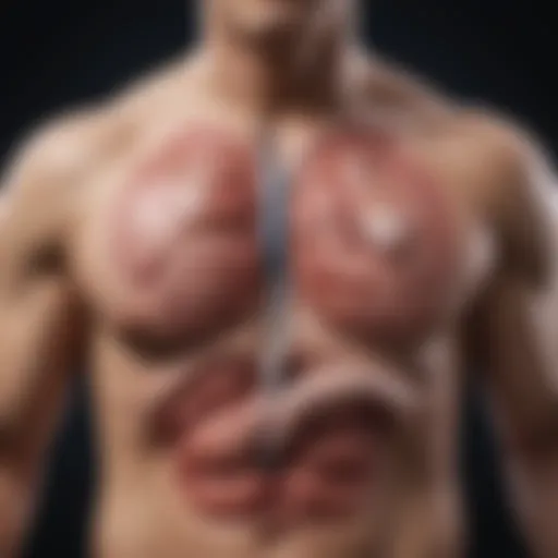 A detailed illustration showing the anatomy relevant to male infertility treatments.