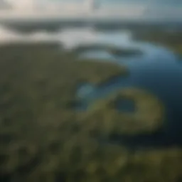 Aerial view showcasing the breathtaking expanse of Lake Peten Itza surrounded by lush greenery