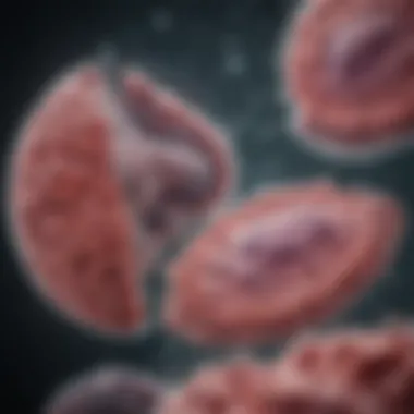 Graph showcasing clinical trial results for the new lung cancer medication