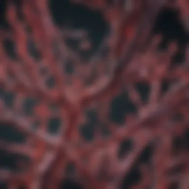 Advanced cytogenetic analysis techniques