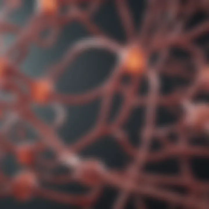 Future directions in MDS research