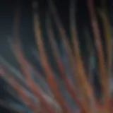 A close-up of plastic optical fibre strands showcasing their unique properties.
