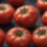 Scientific illustration of bioactive compounds in tomatoes