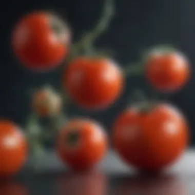 Mechanisms of Action of Tomato Compounds Diagram illustrating mechanisms of action of tomato compounds