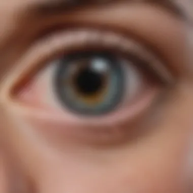 Visual representation of diagnostic techniques for retinal folds