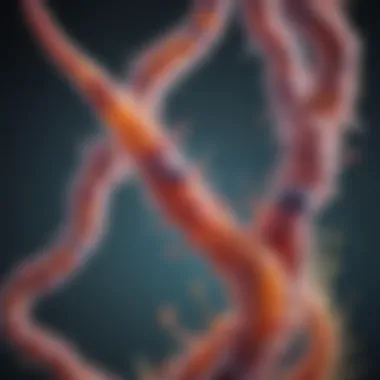 An illustration of gut microbiota balance