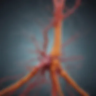 Diagram illustrating the pathways of synucleinopathy related to Parkinson's disease and Lewy body dementia