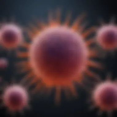 Diagram showing the methodology of the T cell transfer model