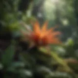 A diverse array of plant species showcasing taxon richness