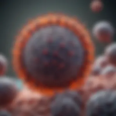 Hepatitis B Virus Lifecycle Diagram illustrating the lifecycle of Hepatitis B virus