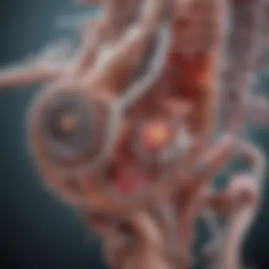 Mechanism of Action of Augmentin Visual representation of Augmentin's mechanism of action