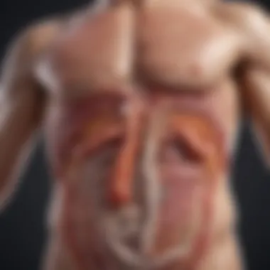 The Gut Microbiome and Ulcerative Colitis Illustration depicting the gut microbiome's role in ulcerative colitis