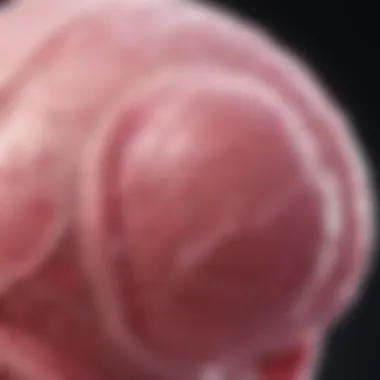 Graphical representation of research advancements in breast cancer linked to technology