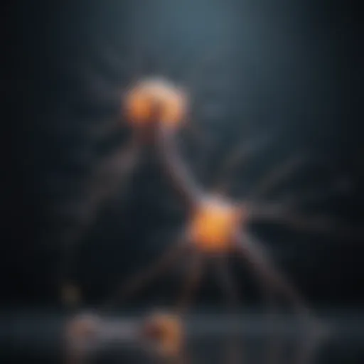 Neurons affected by ALS