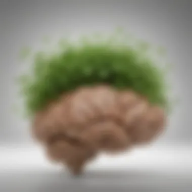 An illustration representing the cognitive benefits of Brahmi through a brain graphic and plant imagery.