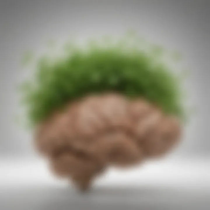An illustration representing the cognitive benefits of Brahmi through a brain graphic and plant imagery.
