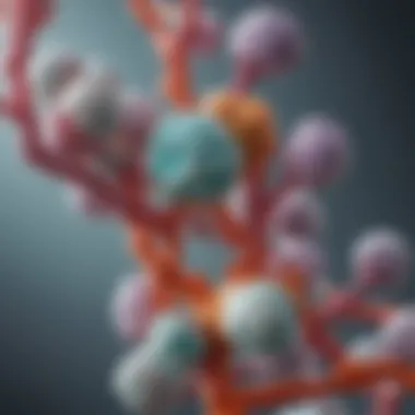 Diagram showing the biochemical interactions between amiodarone and thyroid hormones
