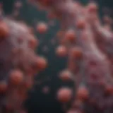 Exploring the Role and Mechanisms of Cleaved Caspase 8 Antibody in Cellular Processes Introduction