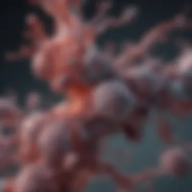 Exploring the Role and Mechanisms of Cleaved Caspase 8 Antibody in Cellular Processes Summary Exploring the Role and Mechanisms of Cleaved Caspase 8 Antibody in Cellular Processes Summary