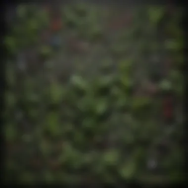 A montage depicting the historical uses of herbs in various cultures around the world.