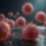 Visual representation of immune cells fighting pathogens