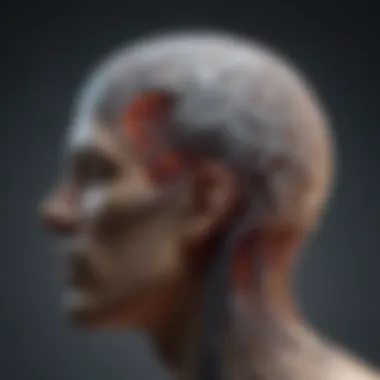 Cognitive Functions in Neural Architecture Visualization of cognitive functions in the brain