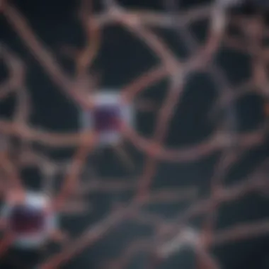 Future Challenges and Directions Future directions in neuronal research