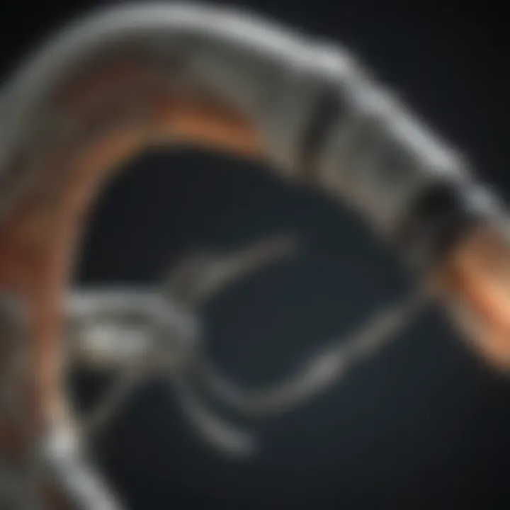 Visualization technique using G Arm fluoroscopy