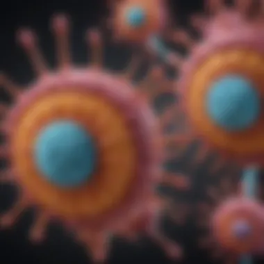 Mechanism of Action of Gemtuzumab Diagram illustrating the mechanism of action of gemtuzumab in targeting CD33