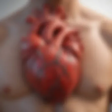 Graphical representation of heart failure risk factors