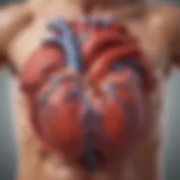 Illustration depicting the cardiac anatomy highlighting blood flow.