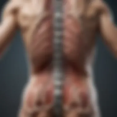Diagnosis of Spinal Cord Herniation Graphic representation of diagnostic tools for spinal cord herniation