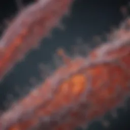 Graph illustrating the correlation between uric acid levels and kidney function