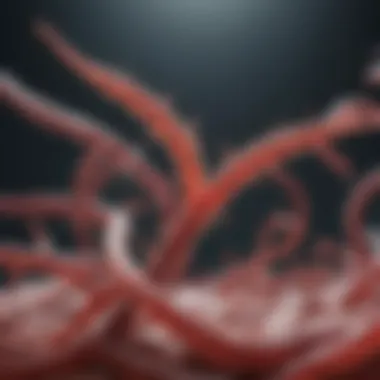 Understanding Viral Replication Dynamics A digital representation of viral replication