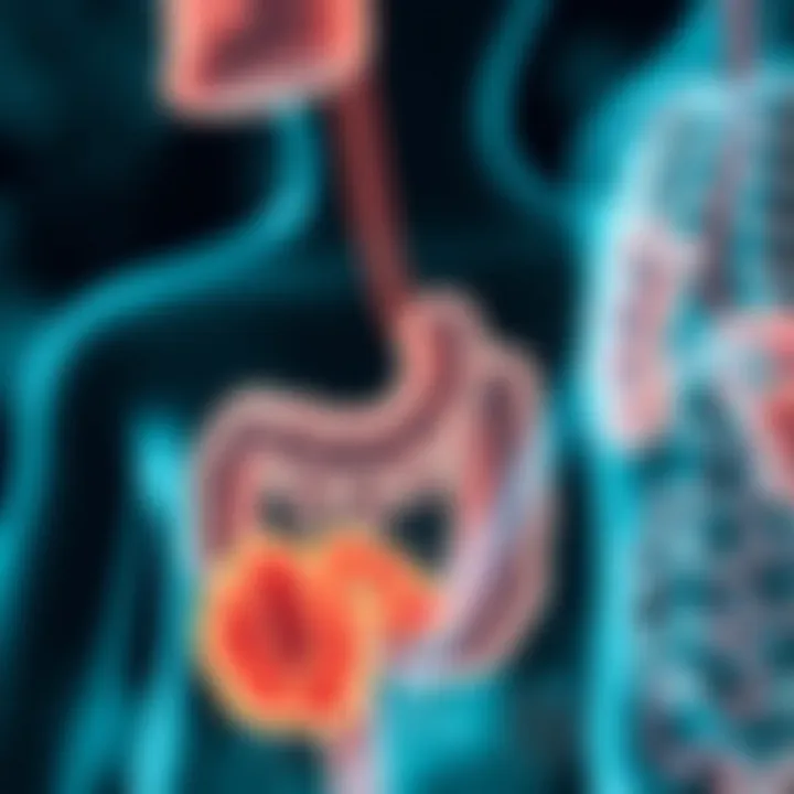 Diagram illustrating the mechanisms of probiotics in the gut