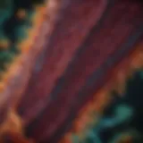 High-resolution image of living tissue under confocal microscopy